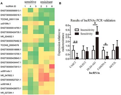 Long Noncoding RNA FAM201A Mediates the Radiosensitivity of Esophageal Squamous Cell Cancer by Regulating ATM and mTOR Expression via miR-101